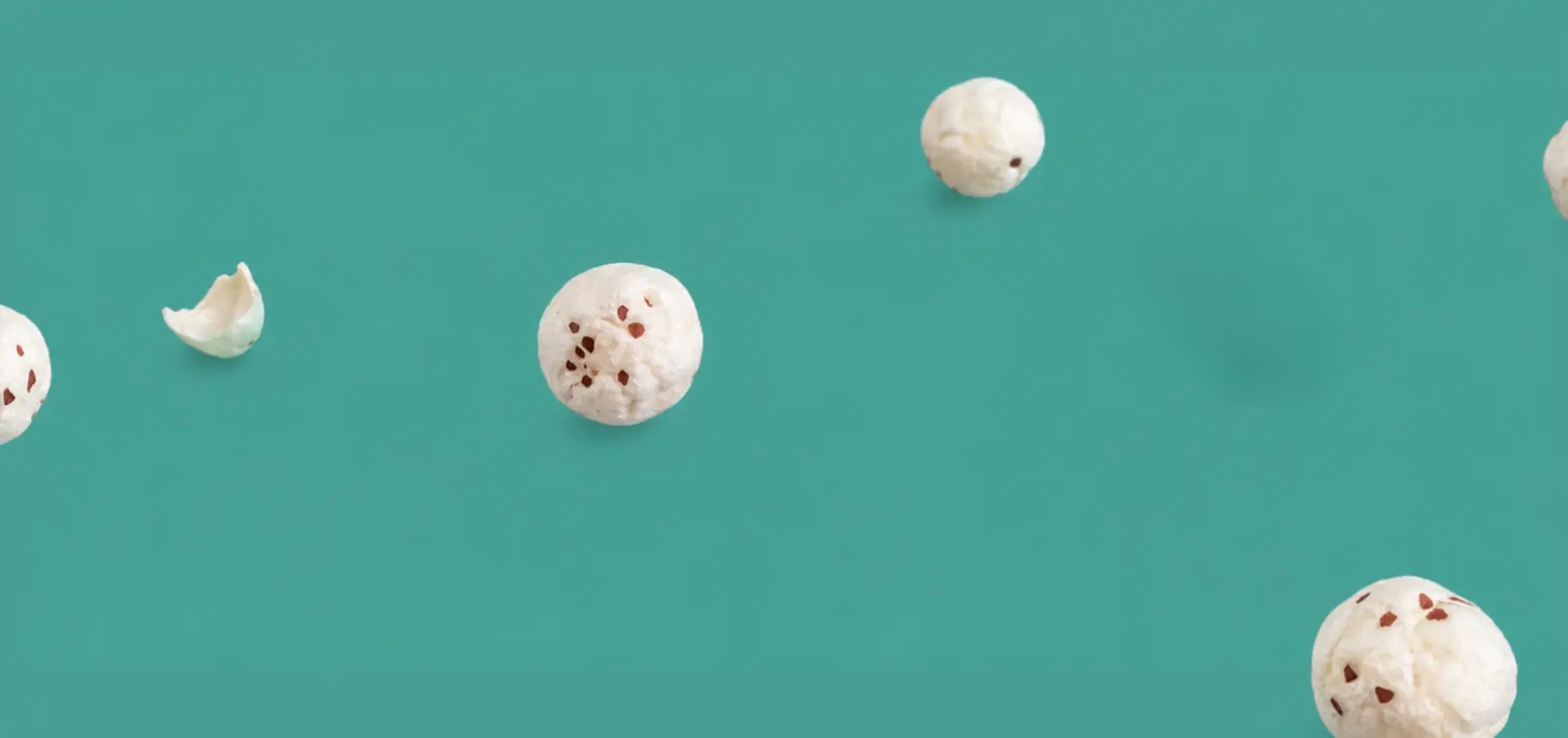 NUTRITIOUS MAKHANA BG
